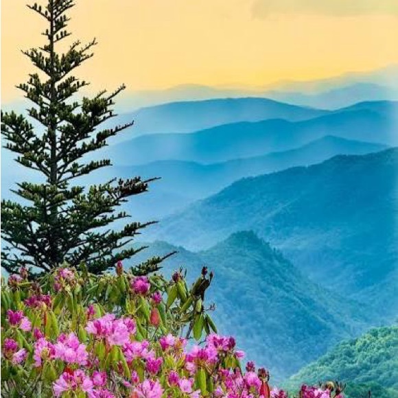 blueridgerack